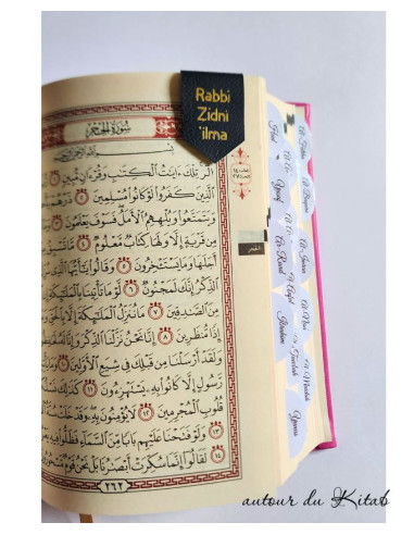 Lot de 3 marque-pages aimantés