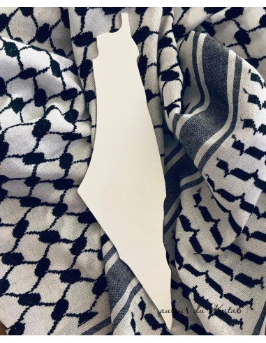 Carte Palestine Plexiglass - Art mural solidaire acrylique